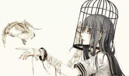 动漫绷带吧,探寻动漫世界的神秘魅力