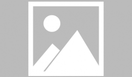 91电视直播最新版本,全新界面，畅享海量直播盛宴